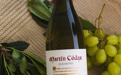 Una joya gallega: entrevista a los talentos detrás de MARTÍN CÓDAX