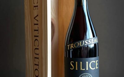 HACIENDO VINOS POR EL MUNDO: ENTREVISTA A FREDI TORRES