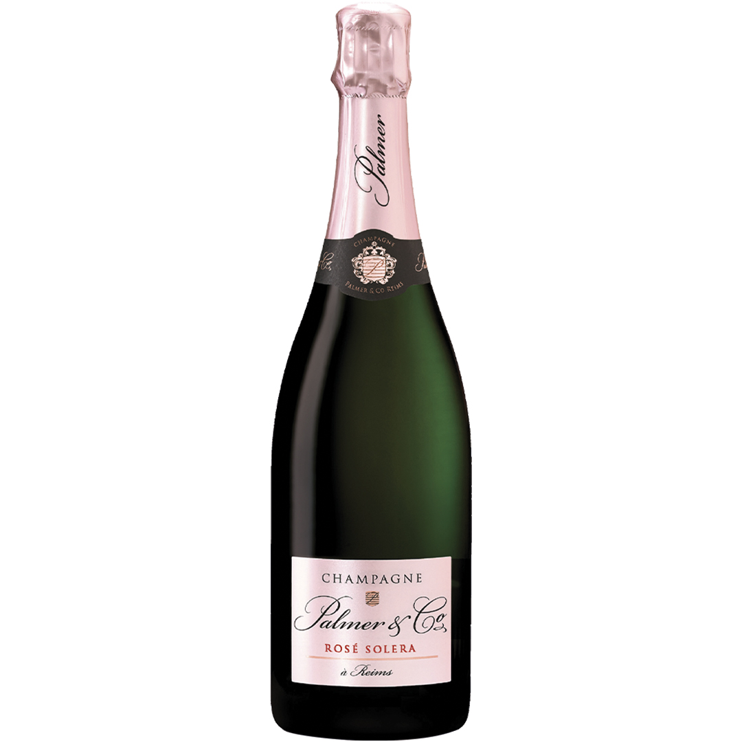 CHAMPAGNE PALMER ROSE