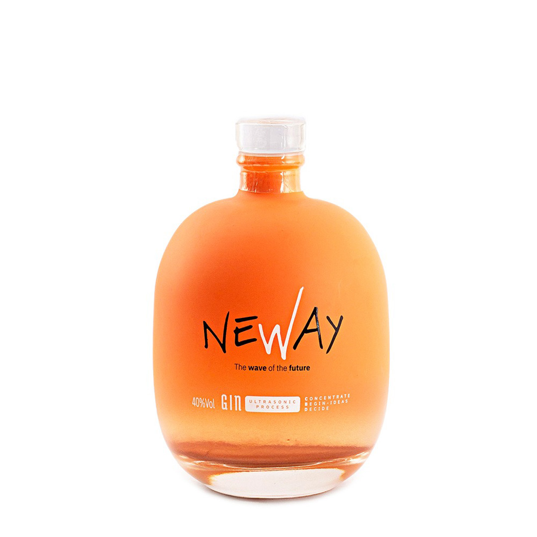 GIN NEWAY WEB