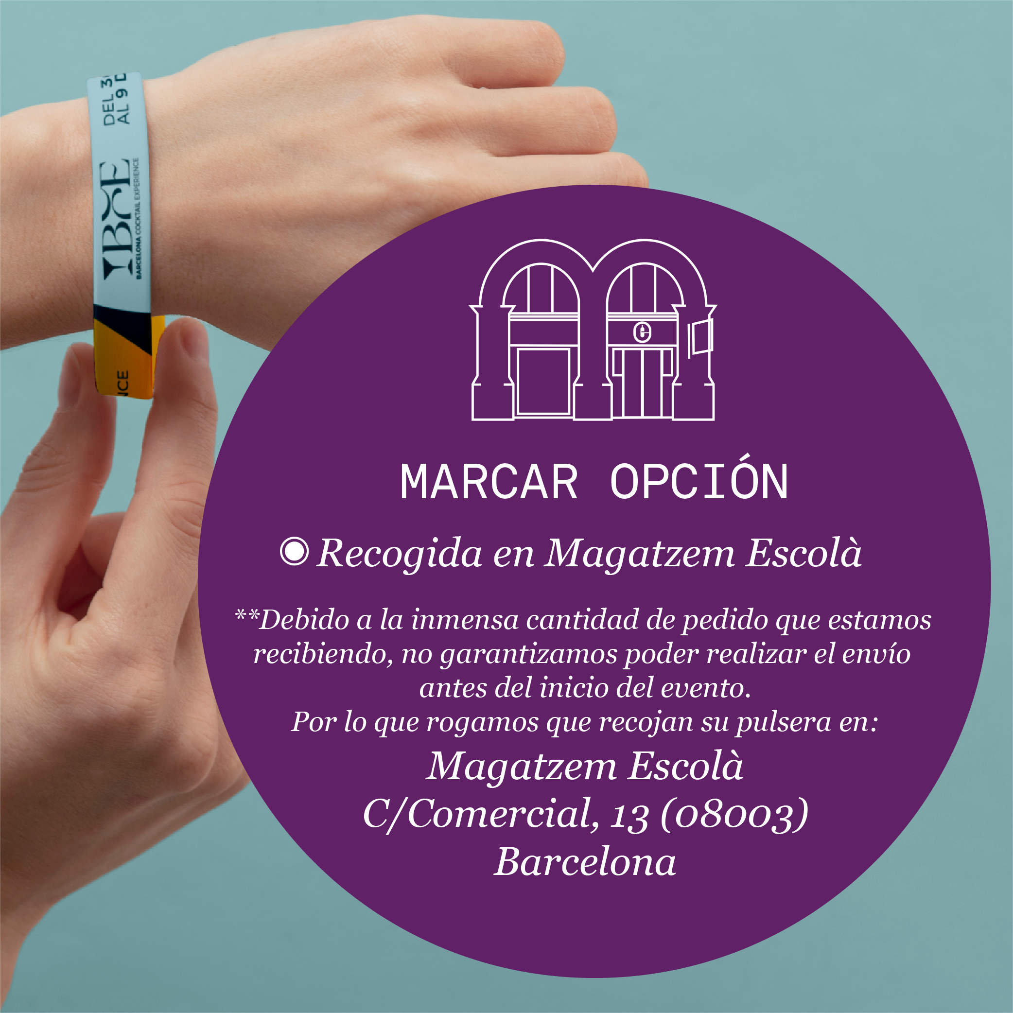 Pulsera-01