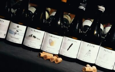 VINS DE LA MEMÒRIA: LEGADO Y PATRIMONIO – ENTREVISTA A XAVI NOLLA
